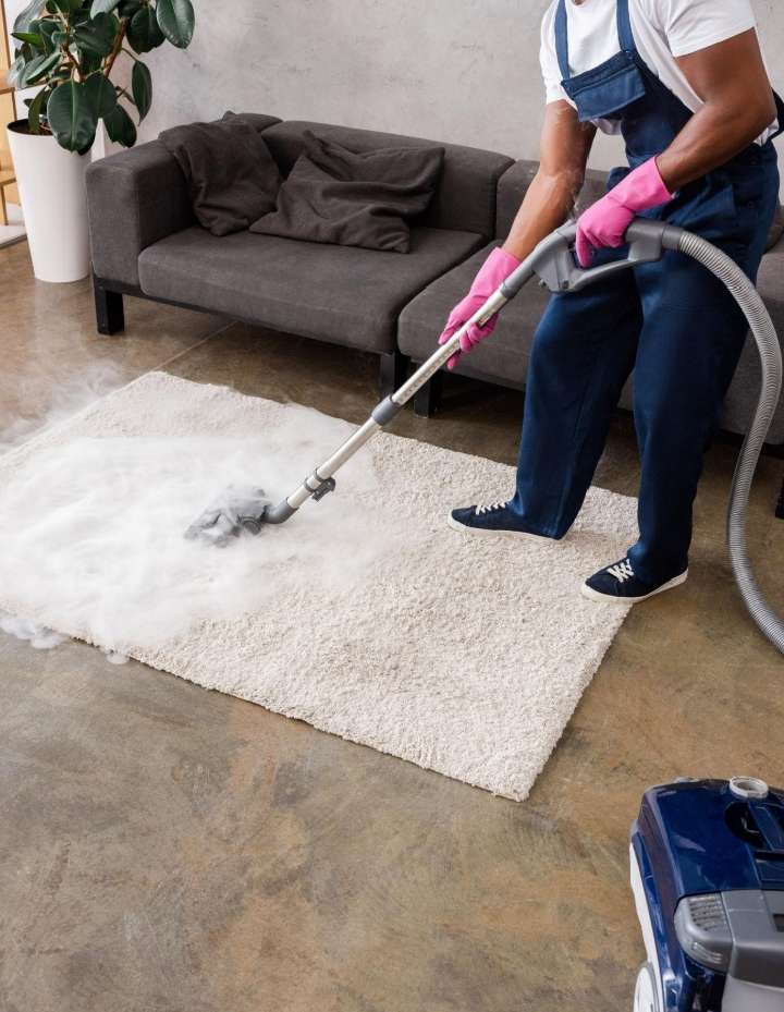 Upholstery cleaning - Carpet cleaning